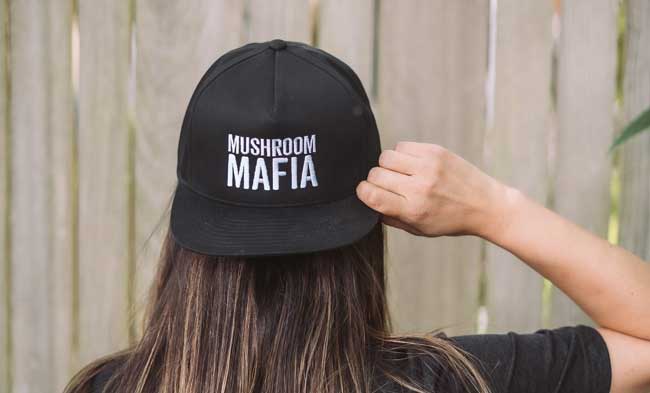 mushroom mafia wicked healthy